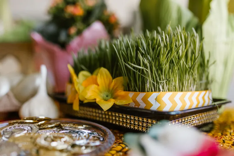 The Ancient Holiday That Crypto Traders Made Their Own — And Why NawrozBet5 Was Named for It