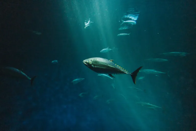 Small Stack, Big Edge: Why Everyday US Bettors Are Quietly Outplaying the Whales on Crypto Platforms