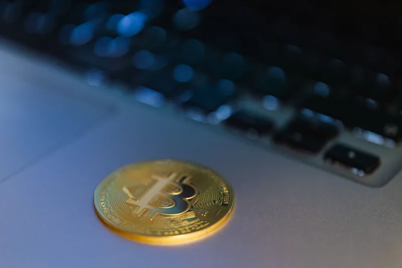 Not All Stable Is Created Equal: The Stablecoins That Actually Hold Up When Markets Implode